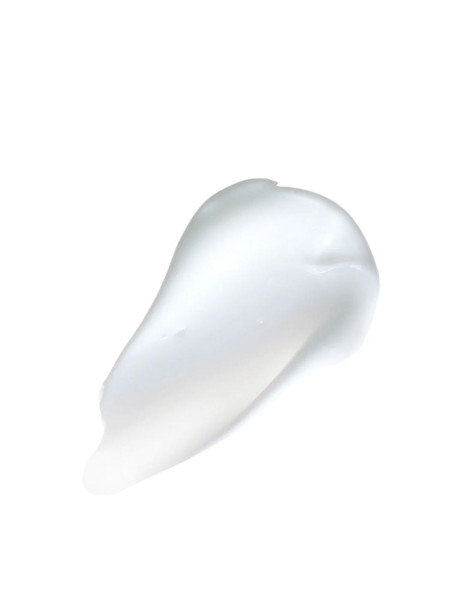 111Skin Repair Day Cream Light NAC Y2 Дневной восстанавливающий крем