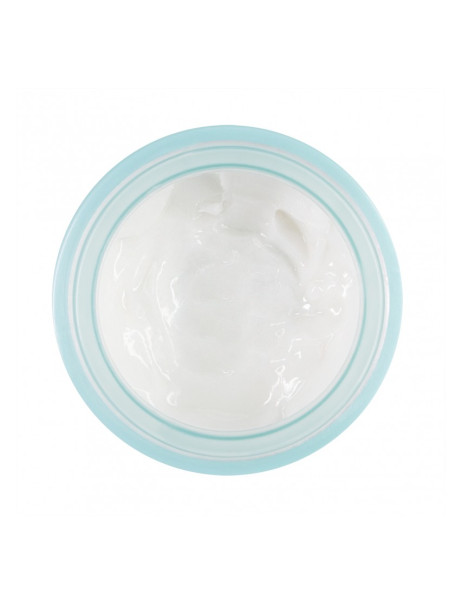 OTOME Aqua Basic Care Moisturising Cream Увлажняющий крем для лица