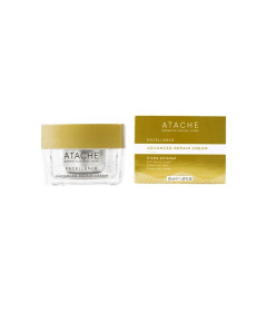 Atache Excellence Advanced Repair Cream Ночной антивозрастной крем глобального действия - Написать отзыв