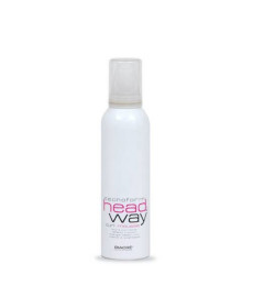 Biacre Tecno Form Head Way Curl Mousse Мус для завивки волосся - Написати відгук