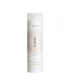 Brae Soul Color Shampoo Шампунь для фарбованого волосся - Написати відгук