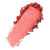 4 Coral Crush