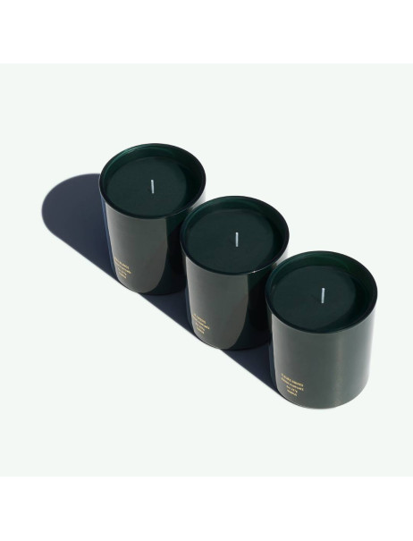 Corpus Scented Candle The Classis Ароматическая свеча Кассис