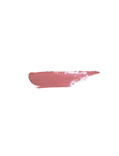 Couleur Caramel Rouge A Levres Matt Матовая помада для губ