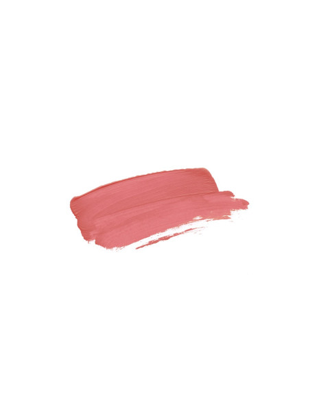 Couleur Caramel Rouge A Levres Matt Матовая помада для губ