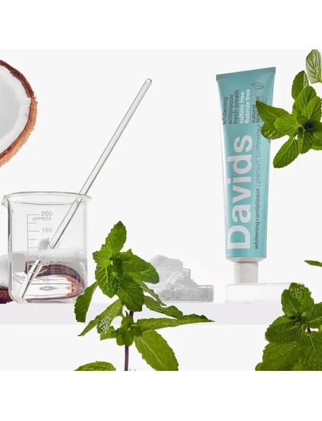 Davids Spearmint Зубная паста защита от зубного налета для взрослых со вкусом мяты