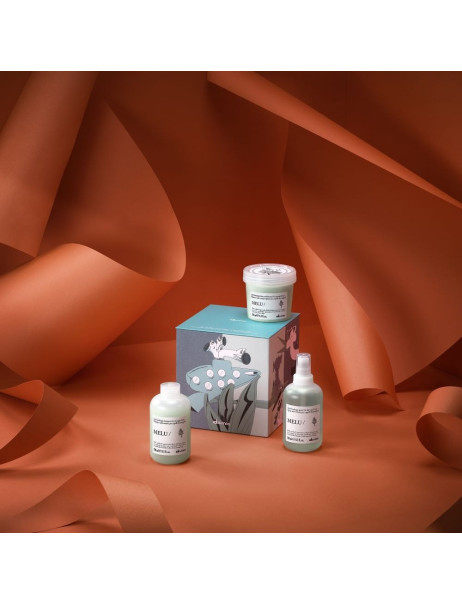 Davines Melu Kit Подарунковий набір проти ламкості довгого та пошкодженого волосся