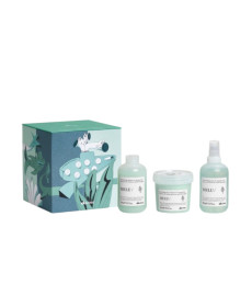Davines Melu Kit Подарунковий набір проти ламкості довгого та пошкодженого волосся - Написати відгук