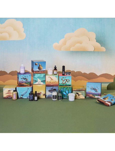Davines NOUNOU Discovery Mini Box The Boreal Tundra Kit Подарунковий набір Для всіх типів волосся