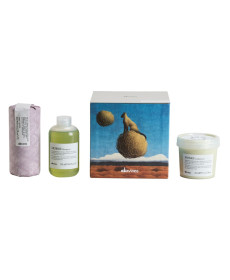 Davines MOMO Box Enchanting Prairie Kit Для сухого або зневодненого волосся - Написати відгук
