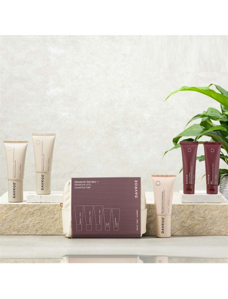 Davroe Christmas Moisture Senses Travel Pack Рождественский тревел набор для увлажнения волос