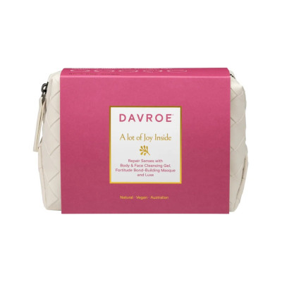 Davroe Xmas Repair Travel Pack Дорожній набір для відновлення волосся