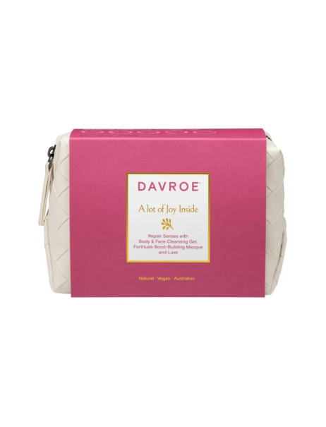 Davroe Xmas Repair Travel Pack Дорожній набір для відновлення волосся