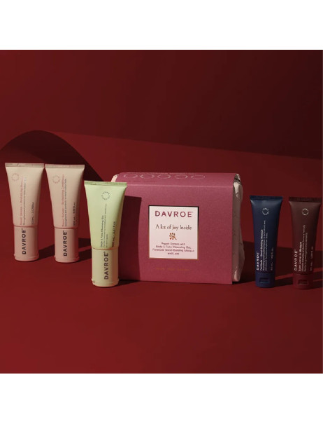Davroe Xmas Repair Travel Pack Дорожній набір для відновлення волосся