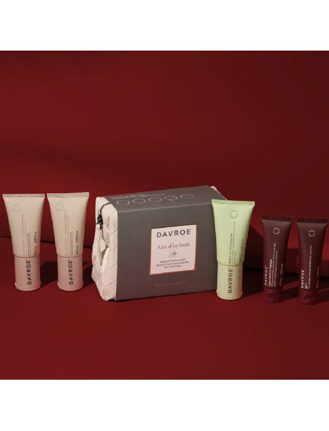 Davroe Xmas Moisture Travel Pack Дорожный набор для увлажнения волос
