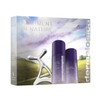 Dermalogica A Moment In Nature Kit Набір для шкіри "Досконалість природи"