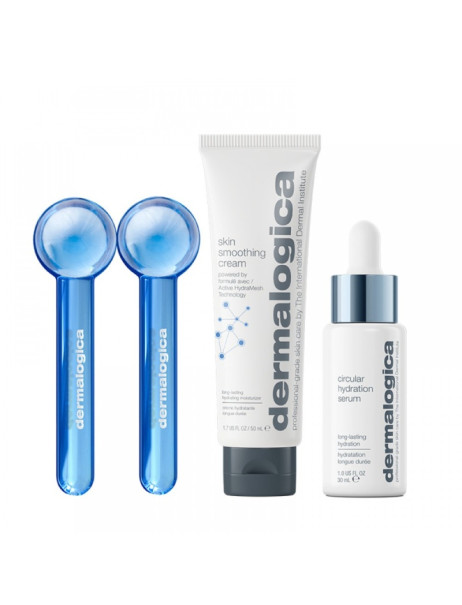 Dermalogica Supple Skin Kit Набір для еластичності та зволоження шкіри