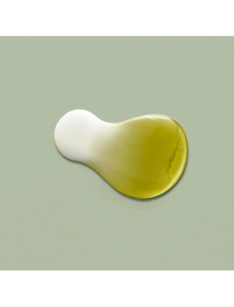 Dr.Ceuracle Jeju Matcha Tea Essence Зволожувальна есенція з гідролатом зеленого чаю та екстрактом матча