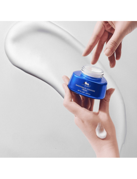 DR.PLANT Smoothing and Hydrating Cream Зволожуючий крем для вирівнювання тону обличчя
