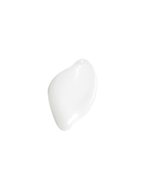 Erborian Matte Moisturiser Матувальний зволожувальний крем