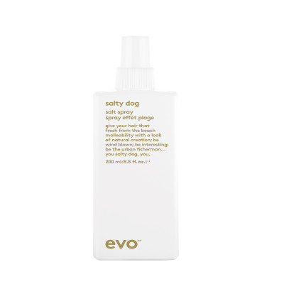 Evo Salty Dog Salt Spray Текстурирующий спрей для волос