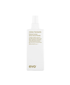 Evo Mister Fantastic Blowout Spray Универсальный стайлинг-спрей для волос - Написать отзыв