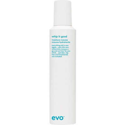 Evo Whip It Good Moisture Mousse Увлажняющий мусс для укладки