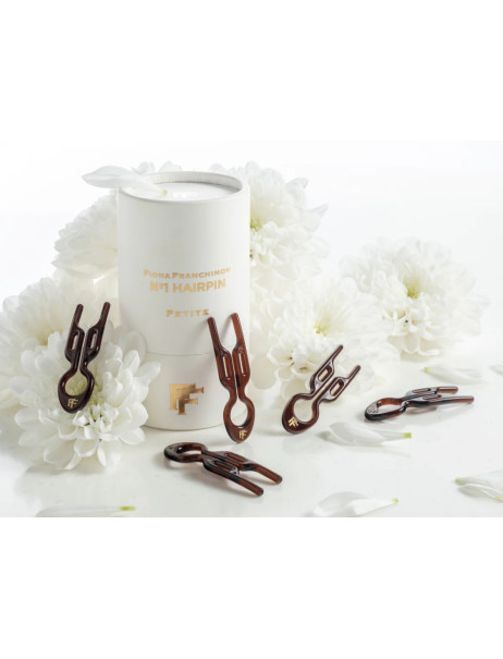 Fiona Franchimon No. 1 Hairpin Petite Brown 5 per box Набор из 5-ти маленьких шпилек коричневого цвета в тубусе