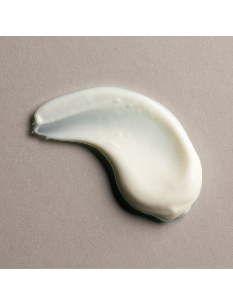 Flanerie Detoxifying Day Moisturiser SPF 15 Дневной увлажняющий крем для лица
