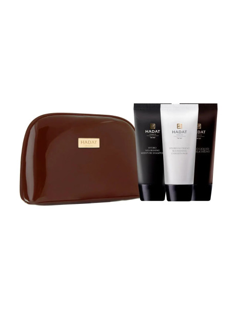 Hadat Cosmetics Hydro Silk Hair Set Набір для волосся 