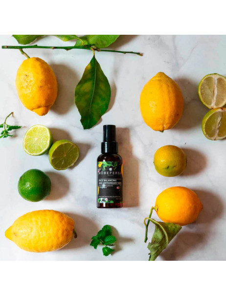 HöbePergh Face Balancing and Antioxidant Mist Балансирующий антиоксидантный спрей для лица