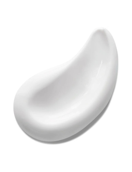 Institut Esthederm Lift & Repair Absolute Smoothing Cream Розгладжувальний крем