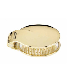 Janeke Golden Folding Hair-Brush With Mirror Гребінець для волосся з дзеркальцем Золотистий - Написати відгук