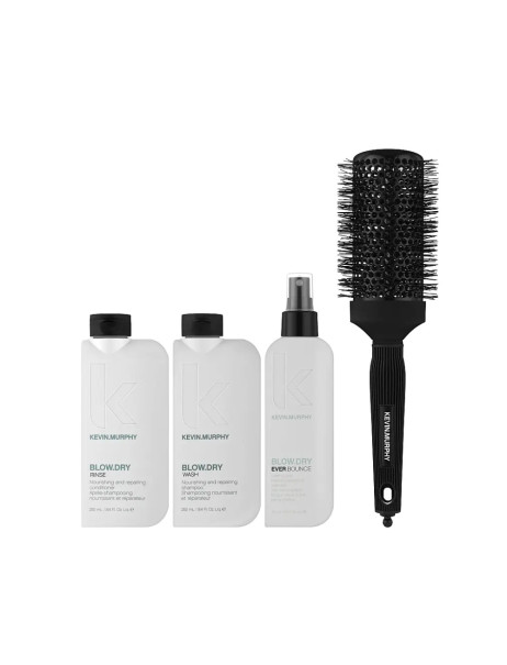 Kevin.Murphy Blow.Dry Stylist Intro Kit Набор стилиста 