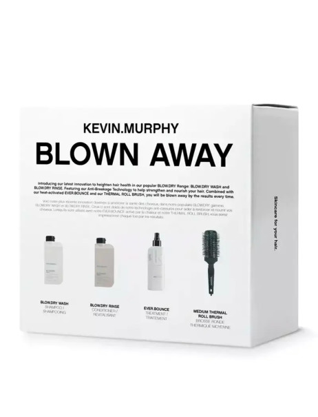 Kevin.Murphy Blow.Dry Stylist Intro Kit Набор стилиста 
