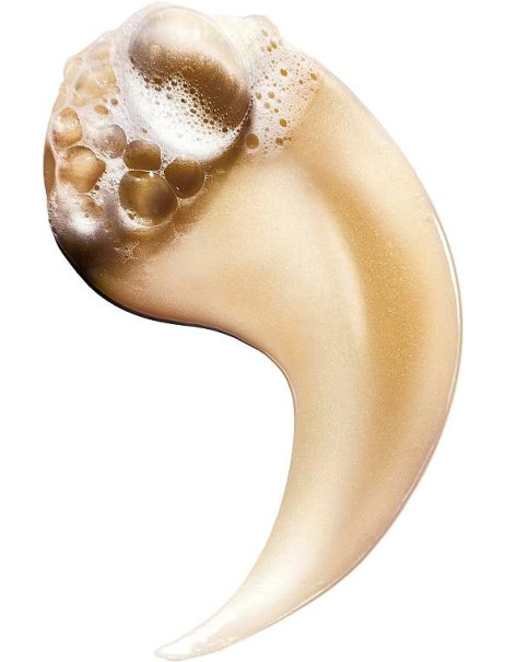 L’Oréal Professionnel Serie Expert Absolut Repair Protein + Omega-9 Shampoo Шампунь для сухого та пошкодженого волосся