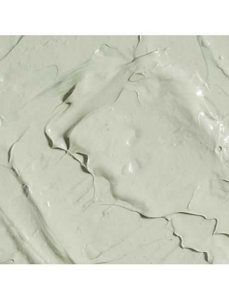 Mesonia Activating Cleansing and Brightening Mask for Normal and Problematic Skin with Kaolin & Chlorophyll Активизирующая маска для очищения и осветления