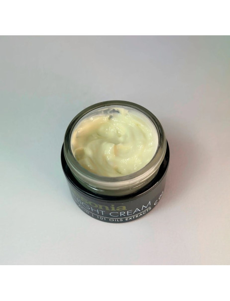 Mesonia Ultra-Nourishing Night Cream with Hyaluronic Acid and 101 Herbal Oil Extracts Ультрапоживний нічний крем з гіалуроновою кислотою та екстрактами трав