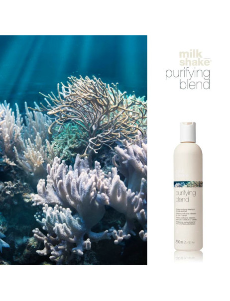Milk_Shake Purifying Blend Shampoo Інтенсивний очищуючий шампунь