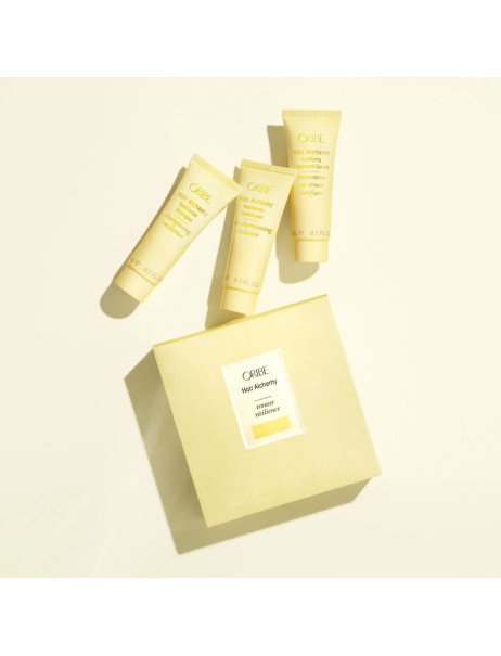 Oribe Hair Alchemy GWP Kit Дорожный набор для интенсивного обновления волос 