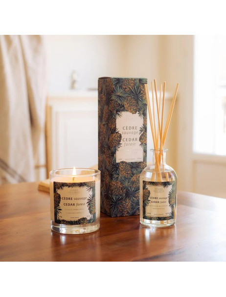 Panier des Sens Home Cedar Forest Reed Diffuser Диффузор ароматический Кедровый лес