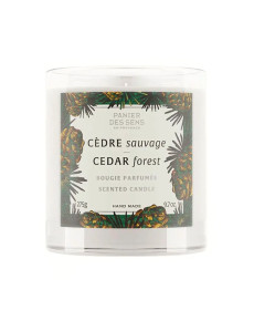 Panier des Sens Home Cedar Forest Scented Candle Ароматическая свеча 