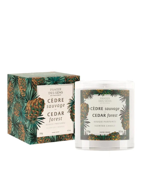 Panier des Sens Home Cedar Forest Scented Candle Ароматическая свеча 