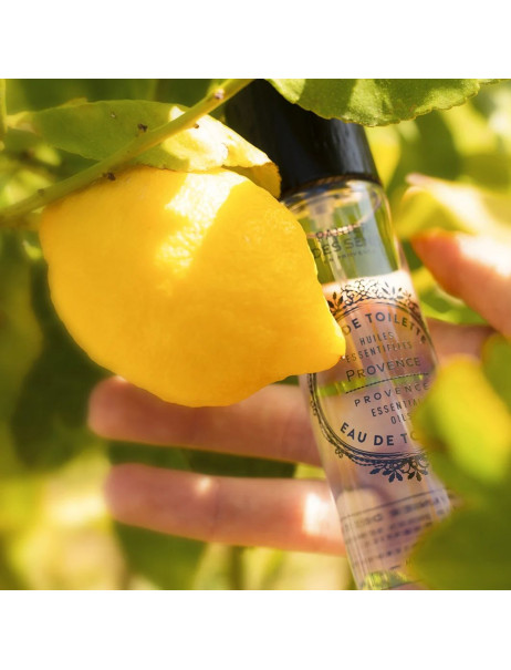 Panier des Sens Essentials Soothing Provence Eau de toilette Туалетная вода Прованс