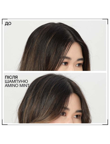 Redken Amino Mint Shampoo Освіжальний шампунь для контролю жирності шкіри голови та зволоження волосся по довжині