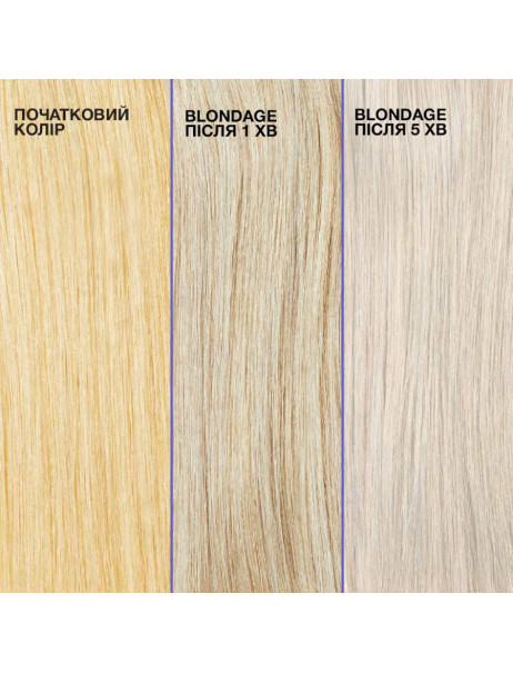 Redken Color Extend Blondage Shampoo Шампунь для нейтралізації жовтизни світлого волосся