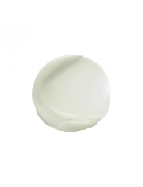 Rhea Cosmetics ToneTrainer Тонізуючий гель для тіла для тренувань