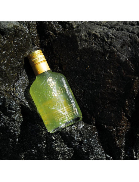 Гель алоэ вера с мятой St Barth