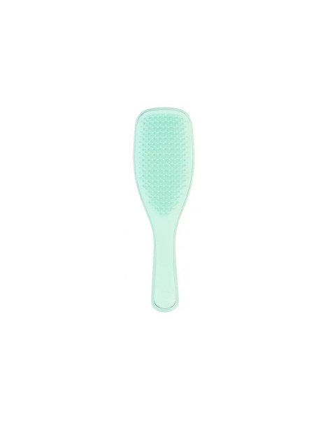 Щетка для волос Tangle Teezer Wet Detangler