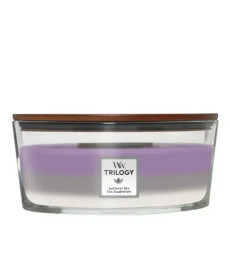 WoodWick Trilogy Amethyst Sky Ellipse Ароматическая свеча с трехслойным ароматом Аметистовое небо Эллипс - Написать отзыв